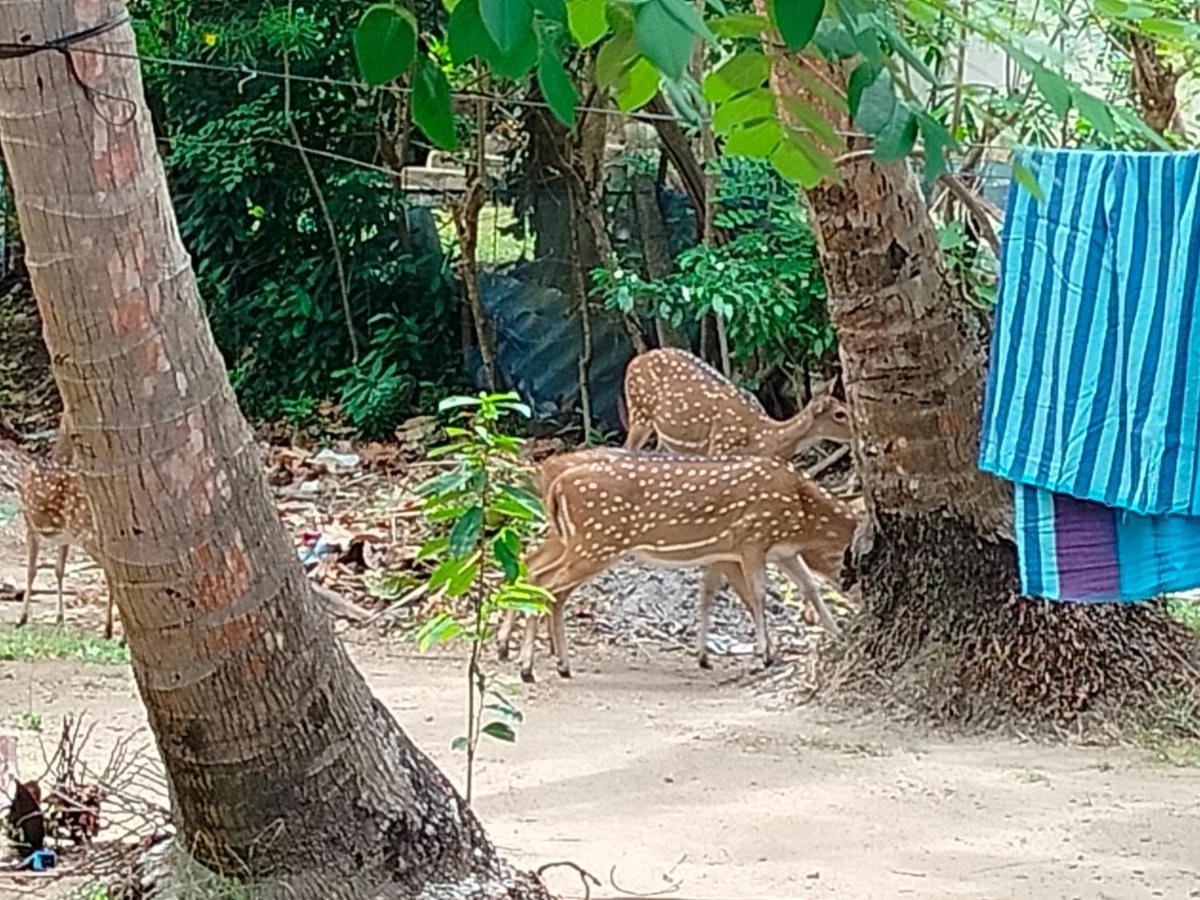 Priyanna Guest, Forest View Polonnaruwa Esterno foto